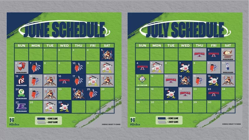 Graphic showing the 2021 schedule